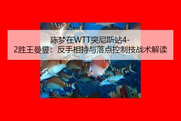 chen-meng-zai-tu-ni-si-zhan-sheng-wang-man-yu-fan-shou-xiang-chi-yu-luo-dian-kong-zhi-ji-zhan-shu-jie-du-1-299.jpg